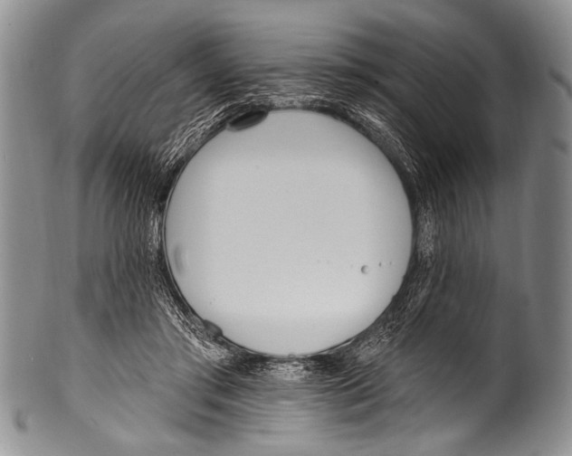 X0000100320405200806261231