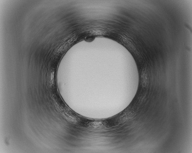 X0000100320406200806261231