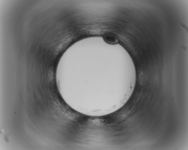 X0000100320407200806261231