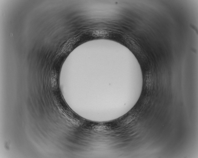 X0000100320408200806261231