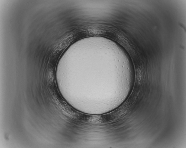 X0000100320410200806261231