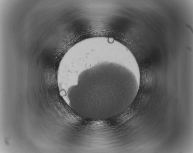 X0000100320411200806261231