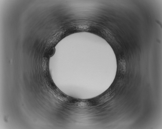 X0000100320412200806261231