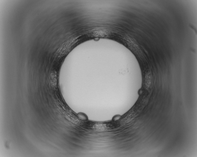 X0000100320413200806261231