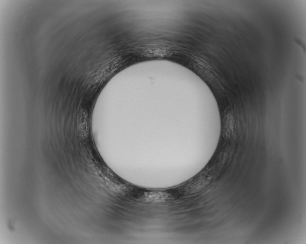 X0000100320414200806261231