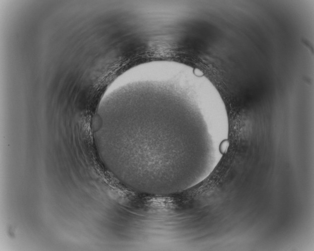 X0000100320415200806261231