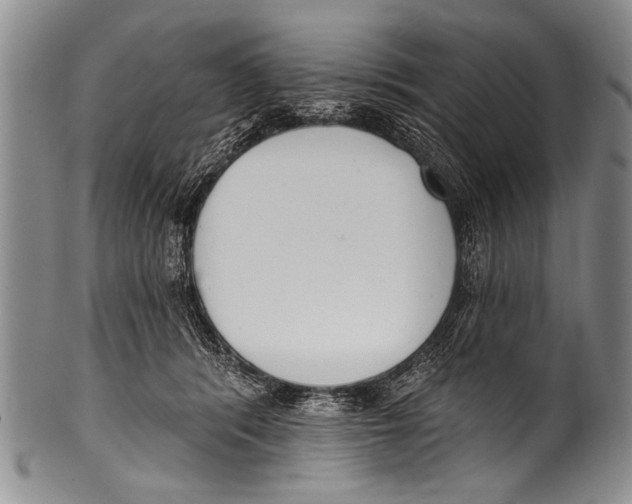 X0000100320416200806261231