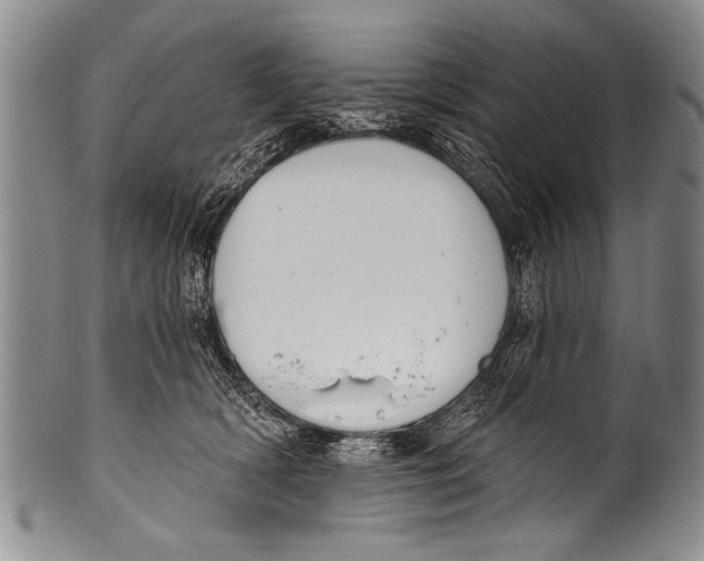 X0000100320418200806261231