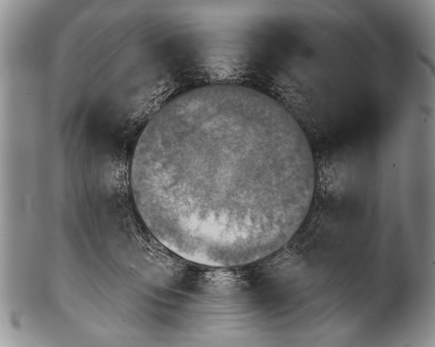 X0000100320419200806261231