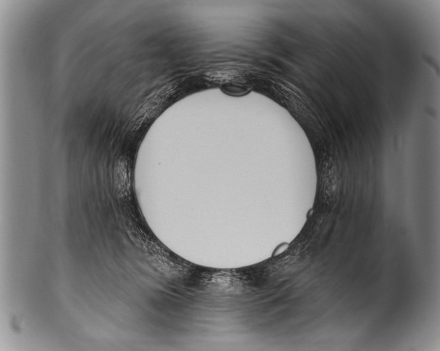 X0000100320420200806261231