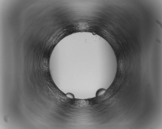 X0000100320421200806261231