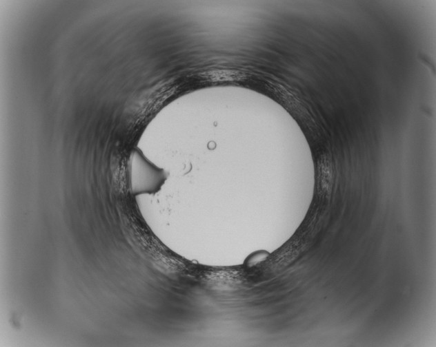 X0000100320422200806261231