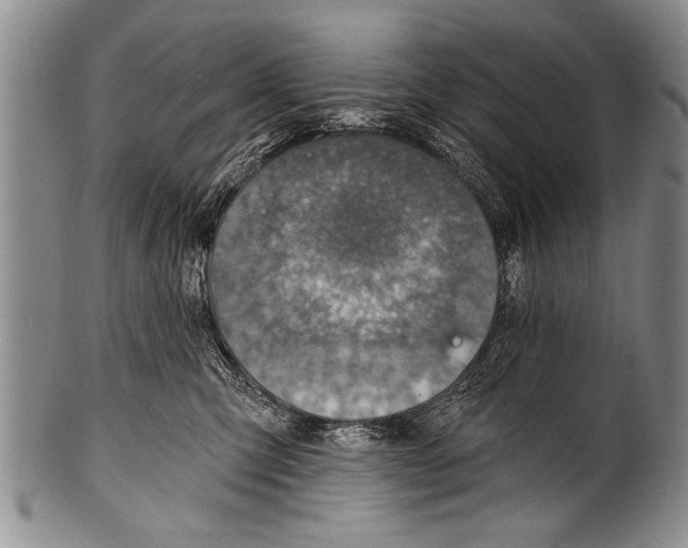 X0000100320423200806261231