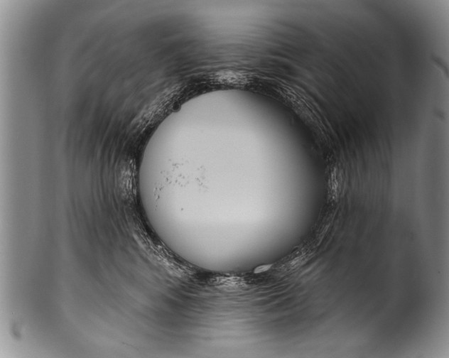 X0000100320424200806261231