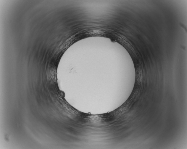 X0000100320425200806261231