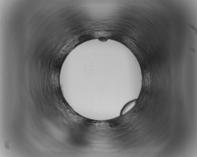 X0000100320426200806261231