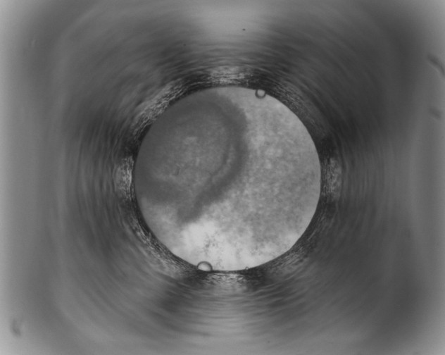 X0000100320427200806261231