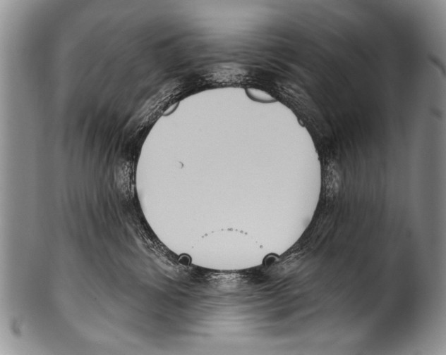 X0000100320428200806261231