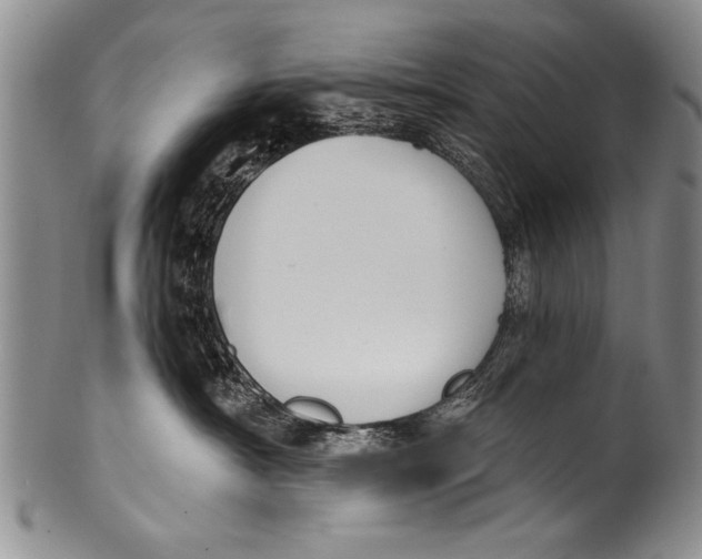 X0000100320430200806261231