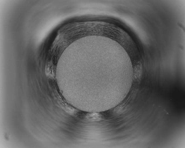 X0000100320431200806261231