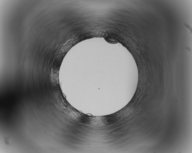 X0000100320432200806261231