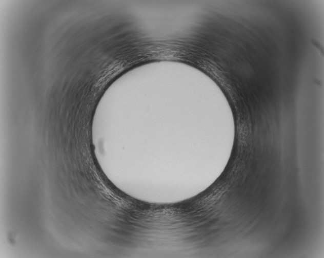 X0000100320433200806261230