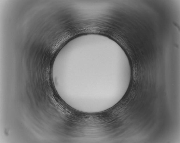 X0000100320434200806261230