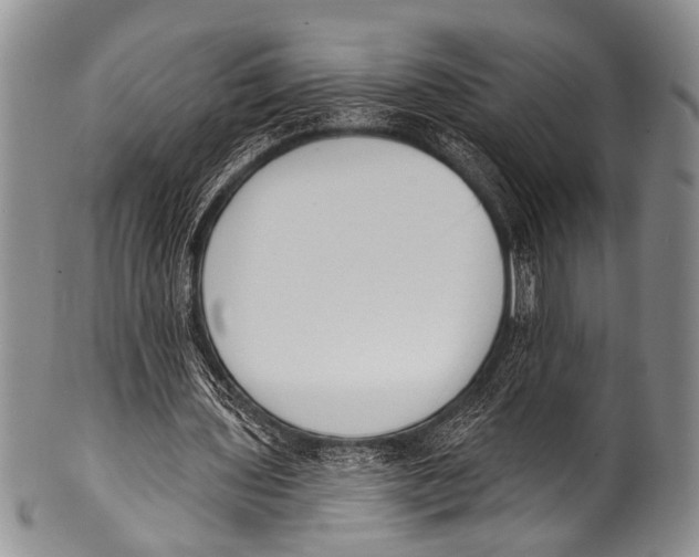 X0000100320435200806261230