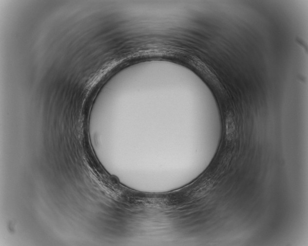 X0000100320436200806261230