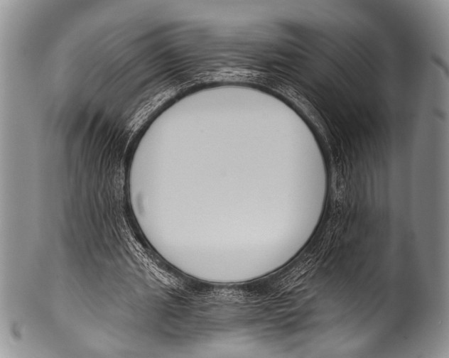 X0000100320437200806261230