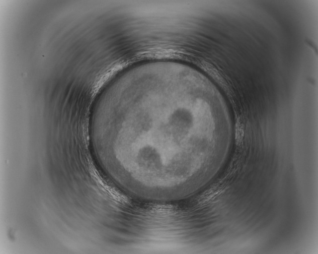 X0000100320438200806261230