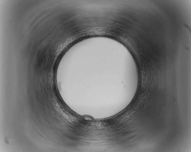 X0000100320439200806261230