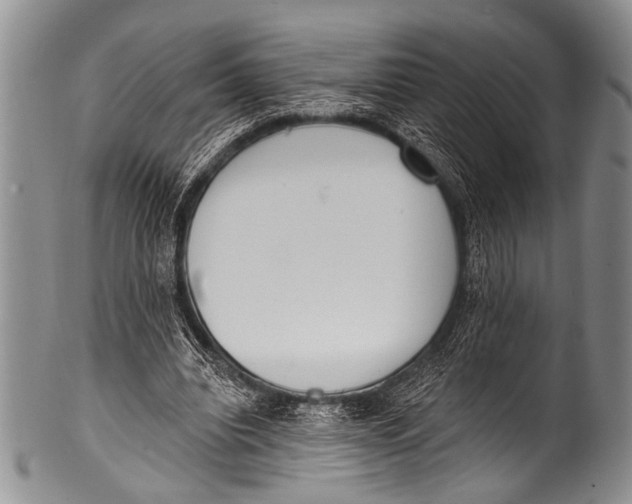 X0000100320440200806261230