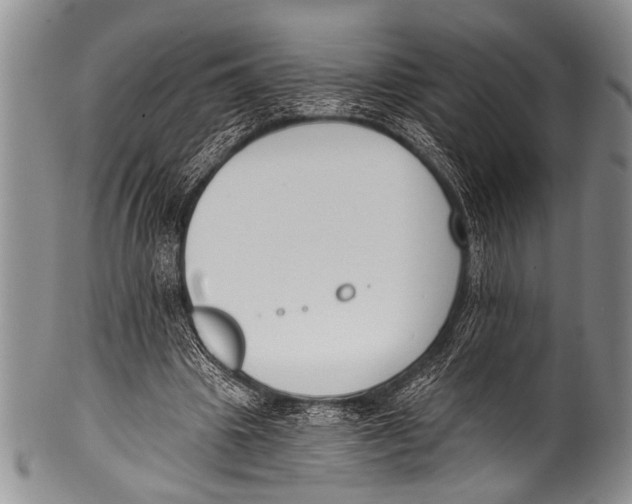 X0000100320441200806261230