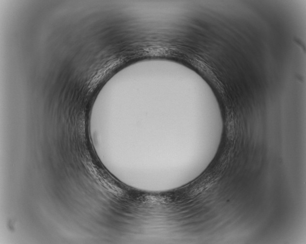 X0000100320442200806261230