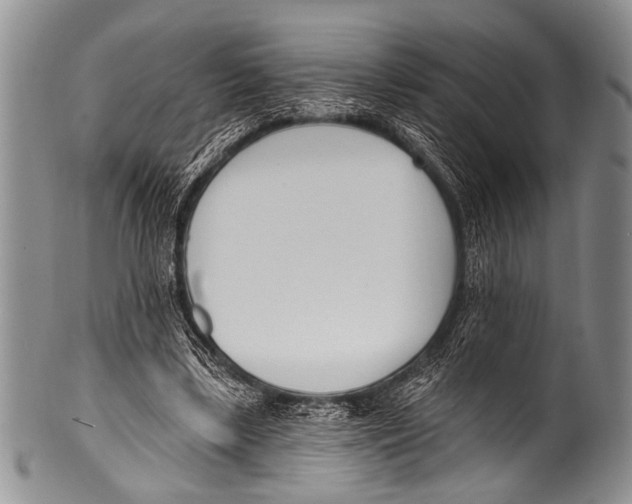 X0000100320443200806261230