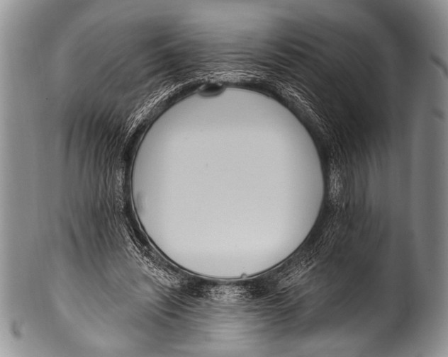 X0000100320444200806261230