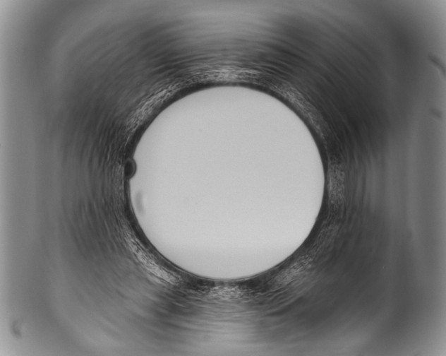 X0000100320445200806261230