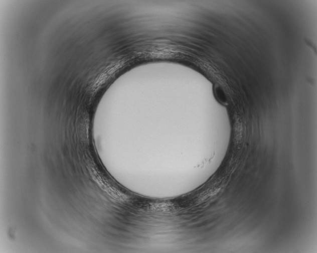 X0000100320446200806261230