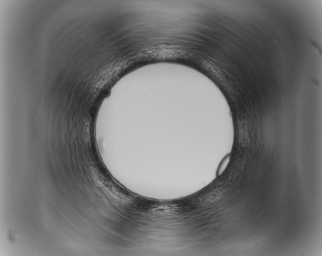 X0000100320447200806261230