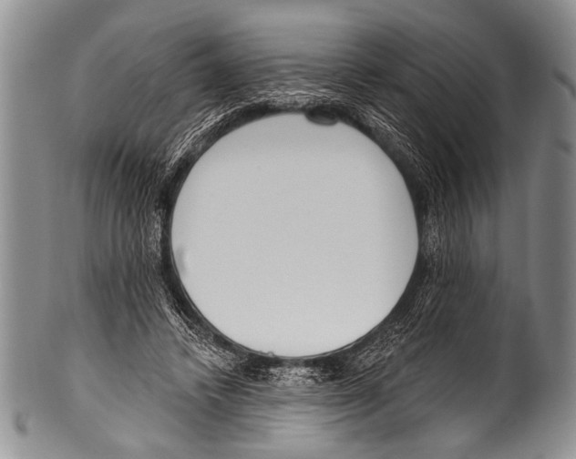 X0000100320448200806261230