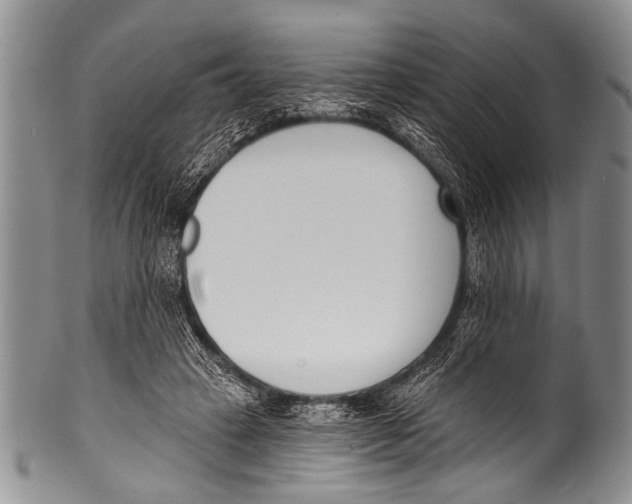 X0000100320449200806261230