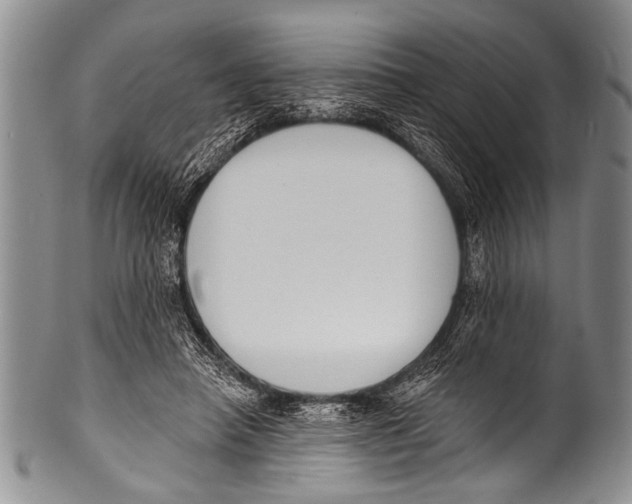 X0000100320450200806261230