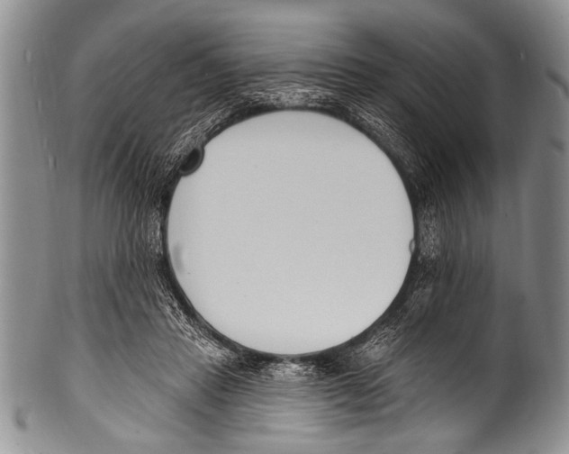 X0000100320453200806261230