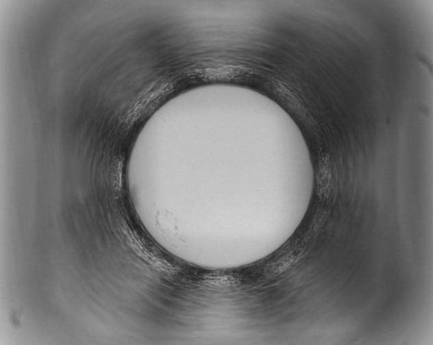 X0000100320454200806261230