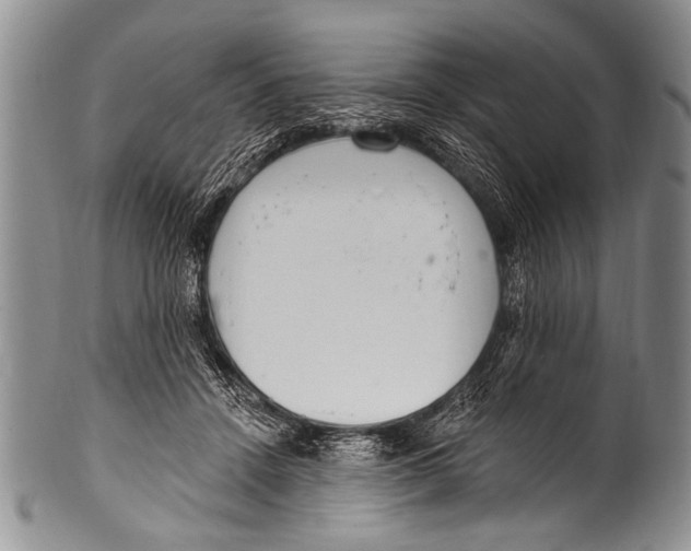 X0000100320456200806261230