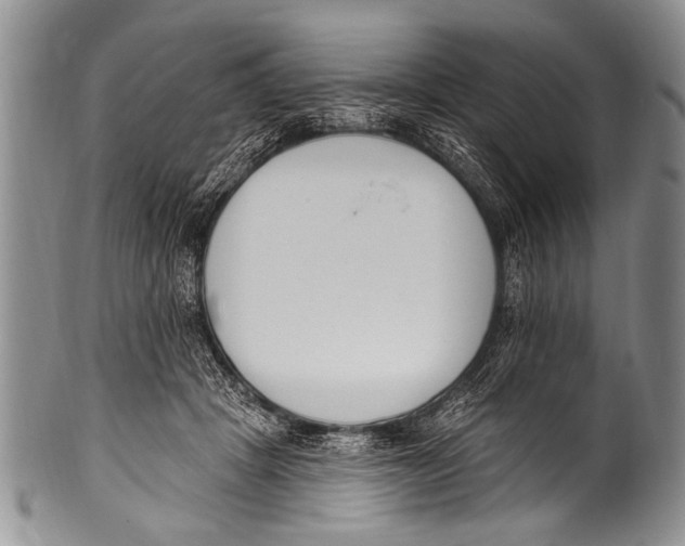 X0000100320457200806261230