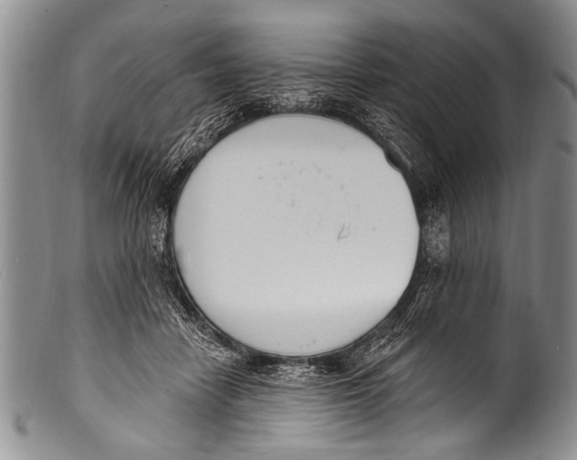 X0000100320458200806261230