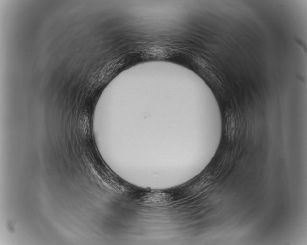 X0000100320459200806261230