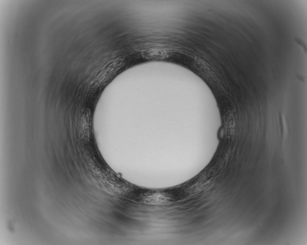 X0000100320460200806261230